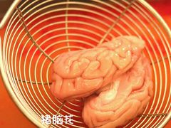 火山冒猪脑花-海底捞大排档火锅(打浦路店)