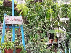 -小洲村