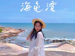 -广东惠东海龟国家级自然保护区