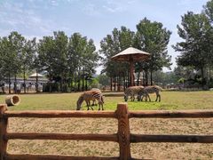 -大连森林动物园