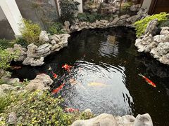 -鲤院·新中式美学·庭院餐厅(夫子庙店)