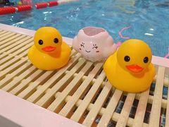 -小蓝鲸游泳培训基地(积水潭店)