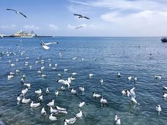 -青海湖二郎剑景区