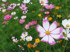 -艾溪湖湿地公园