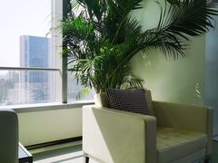 -马泷齿科·成都锦江置略马泷口腔门诊部(IFS国金中心店)
