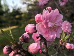 -森林公园(尖草坪区)