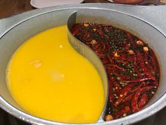 -青瓷火锅料理(西单大悦城店)