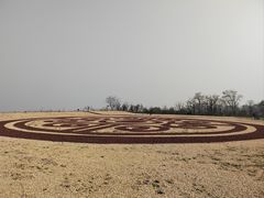 -汉长安城未央宫国家考古遗址公园