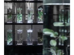 -广东中医药博物馆