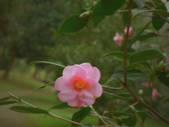 -杭州植物园