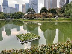 -陆家嘴中心绿地