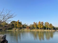 -牛首山文化旅游区