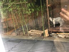 -春记潮汕牛肉火锅