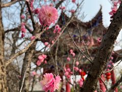 -开福禅寺