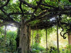 -广西壮族自治区药用植物园