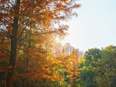 -坪山湿地公园