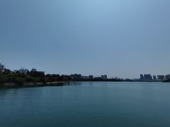 -五缘湾湿地公园