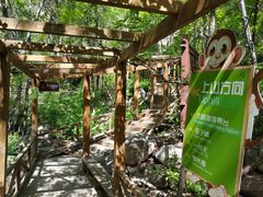 -大岭沟猕猴桃谷风景区