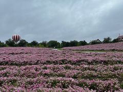 -歌斐颂巧克力小镇