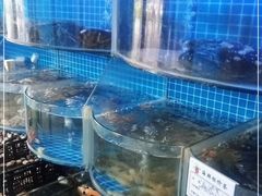 -云南巷海鲜大咖·可加工海鲜