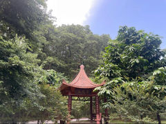-大屏嶂森林公园