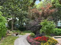 -北外滩滨江绿地