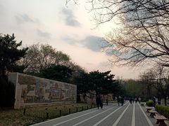 -元大都城垣遗址公园