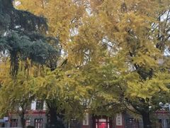 -四川大学(望江校区)