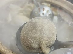 -蔡记·九米羊肉炉(东渡店)