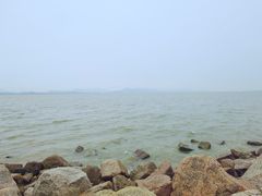 -深圳湾公园(南山区)