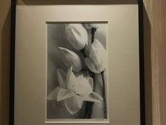-广州珠江新城木莲庄酒店(暨南大学店)
