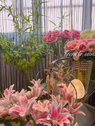 -花隐·美芙炫海菲秀皮肤管理中心