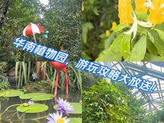 -华南国家植物园-售票处