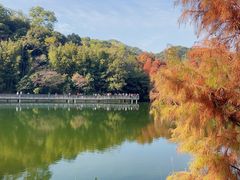 -广州市白云山风景名胜区