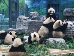 -北京动物园