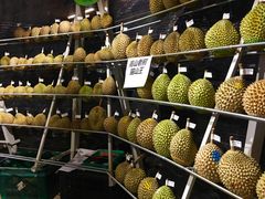 -都念榴莲·城市榴莲