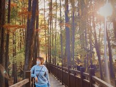 -东湖落雁景区