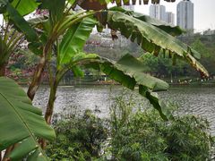 -重庆彩云湖湿地公园