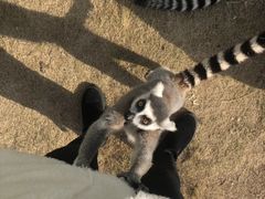 -无锡动物园·太湖欢乐园