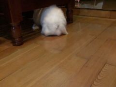 -雨林宠物医院 非犬猫异宠专科