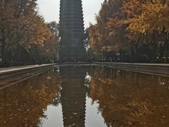 -玲珑塔公园