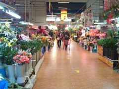 -大自然花鸟鱼虫市场