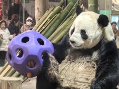 -栾川竹海野生动物园