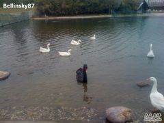 -同济大学(嘉定校区)