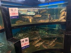 水产区-莆鑫海鲜城(浏河店)