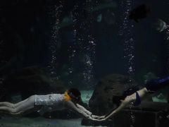 -锦艺城海洋馆