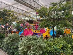 -南宫五洲植物乐园