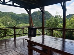 -大岭沟猕猴桃谷风景区