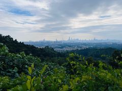 -火炉山森林公园