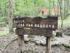 -牛背梁国家森林公园